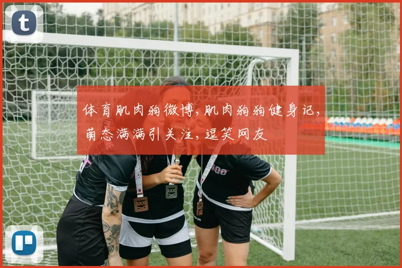体育肌肉狗微博,肌肉狗狗健身记,萌态满满引关注,逗笑网友