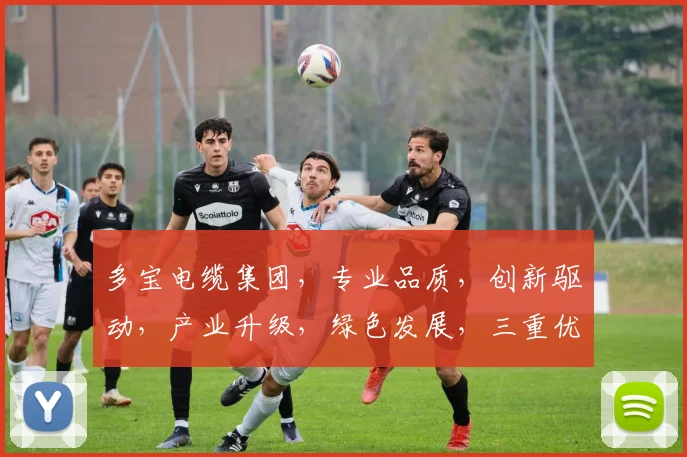 多宝电缆集团，专业品质，创新驱动，产业升级，绿色发展，三重优势助力行业领先
